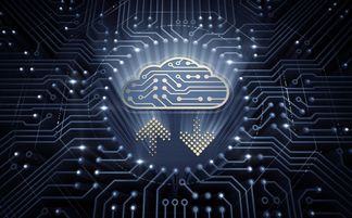 Radware云端原生數據泄露事件解析 人工智能應用軟件開發的警鐘